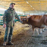 Корівки — в дарунок, або Як Покровська громада поширює кооперативний рух